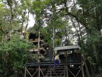 Tapir Lodge im Cuyabeno Reservat