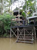 Tapir Lodge im Cuyabeno Reservat