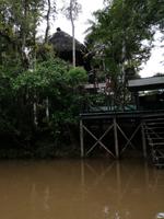 Tapir Lodge im Cuyabeno Reservat