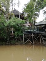Tapir Lodge im Cuyabeno Reservat