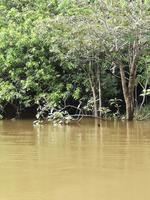 Fahrt auf den Fluss Cuyabeno 