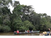 Fahrt auf den Fluss Cuyabeno 