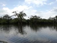 Fahrt auf den Fluss Cuyabeno 