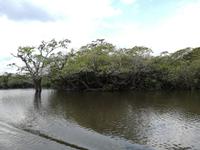 Fahrt auf den Fluss Cuyabeno 