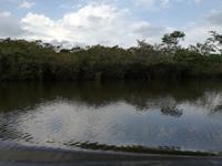 Fahrt auf den Fluss Cuyabeno 