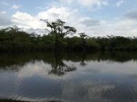 Fahrt auf den Fluss Cuyabeno 