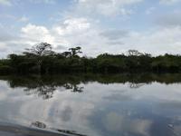 Fahrt auf den Fluss Cuyabeno 