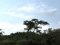 Fahrt auf den Fluss Cuyabeno 