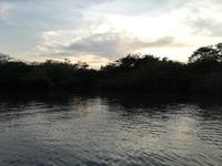 Fahrt auf den Fluss Cuyabeno 