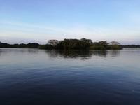 Fahrt auf den Fluss Cuyabeno 