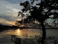 Fahrt auf den Fluss Cuyabeno 