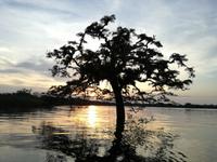 Fahrt auf den Fluss Cuyabeno 