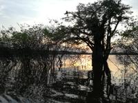 Sonnenuntergang am Lake Cuyabeno