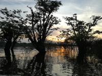 Sonnenuntergang am Lake Cuyabeno