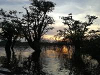 Sonnenuntergang am Lake Cuyabeno