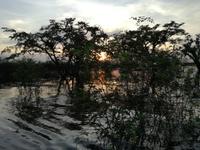 Sonnenuntergang am Lake Cuyabeno