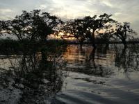 Sonnenuntergang am Lake Cuyabeno