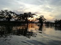 Sonnenuntergang am Lake Cuyabeno