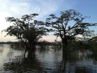 Sonnenuntergang am Lake Cuyabeno