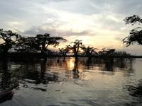 Sonnenuntergang am Lake Cuyabeno