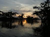 Sonnenuntergang am Lake Cuyabeno