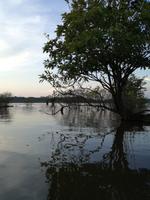 Sonnenuntergang am Lake Cuyabeno