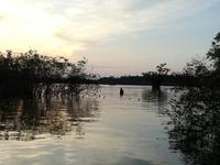 Sonnenuntergang am Lake Cuyabeno