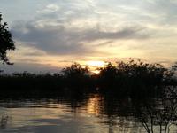 Sonnenuntergang am Lake Cuyabeno