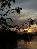 Sonnenuntergang am Lake Cuyabeno