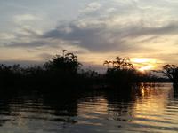 Sonnenuntergang am Lake Cuyabeno