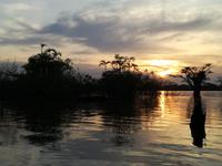 Sonnenuntergang am Lake Cuyabeno