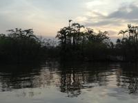 Sonnenuntergang am Lake Cuyabeno