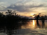 Sonnenuntergang am Lake Cuyabeno