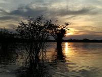 Sonnenuntergang am Lake Cuyabeno