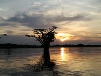 Sonnenuntergang am Lake Cuyabeno