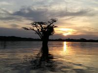 Sonnenuntergang am Lake Cuyabeno