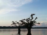 Sonnenuntergang am Lake Cuyabeno
