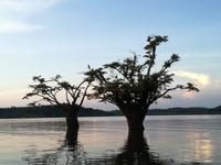Sonnenuntergang am Lake Cuyabeno