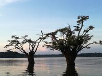 Sonnenuntergang am Lake Cuyabeno