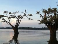 Sonnenuntergang am Lake Cuyabeno