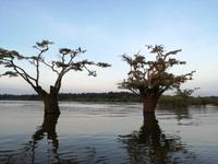 Sonnenuntergang am Lake Cuyabeno