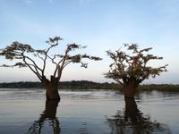 Sonnenuntergang am Lake Cuyabeno