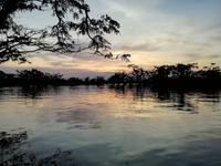 Sonnenuntergang am Lake Cuyabeno