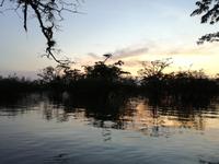 Sonnenuntergang am Lake Cuyabeno