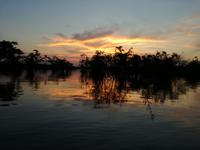 Sonnenuntergang am Lake Cuyabeno