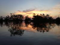 Sonnenuntergang am Lake Cuyabeno