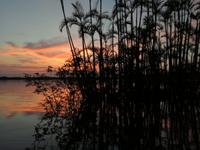 Sonnenuntergang am Lake Cuyabeno