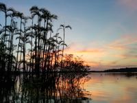 Sonnenuntergang am Lake Cuyabeno
