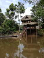 Fahrt auf den Fluss Cuyabeno 