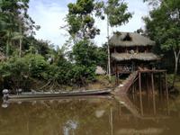 Fahrt auf den Fluss Cuyabeno 